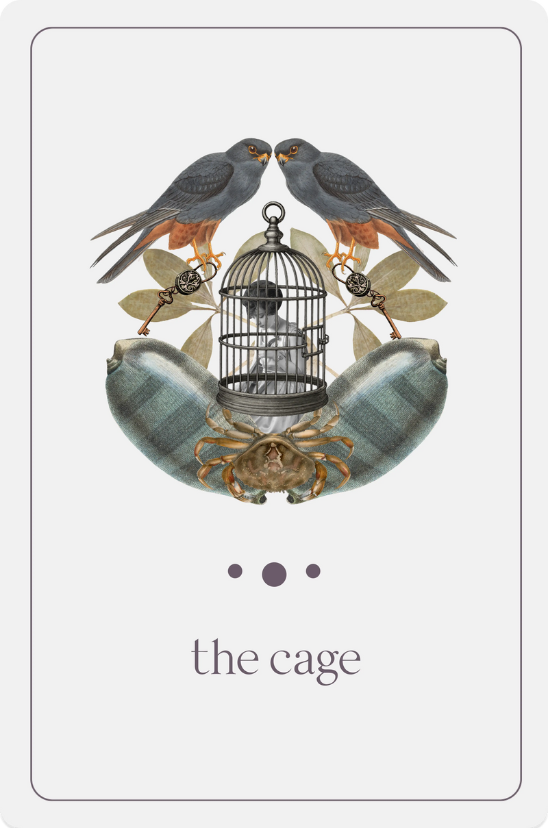 The Cage