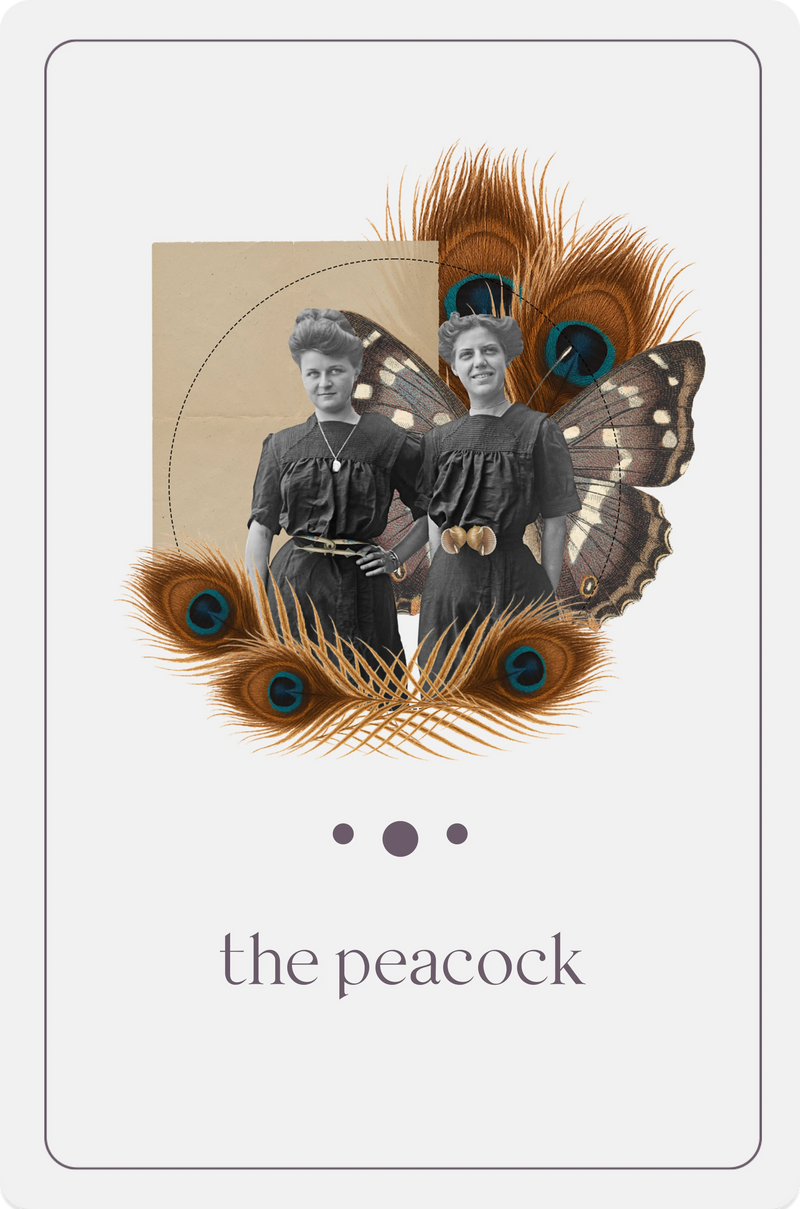 The Peacock