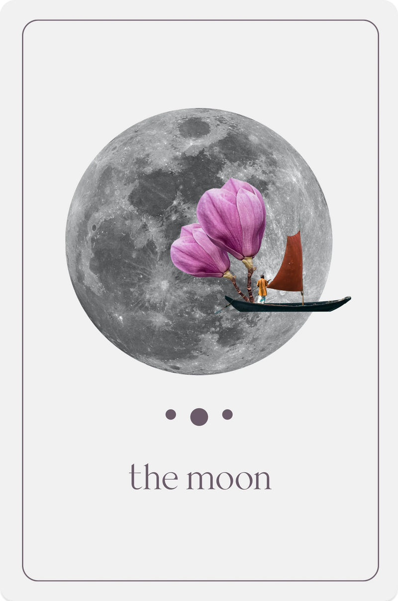 The Moon